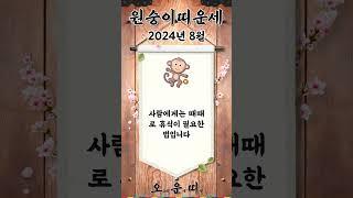 월간 원숭이띠 운세 2024년 8월 #원숭이띠 #오늘의운세 #내일의운세 #월간운세 #운세 #운세쇼츠