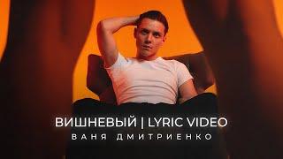 Ваня Дмитриенко - Вишнёвый (Lyric Video)