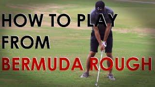 How to hit golf shots from heavy and thick Bermuda rough