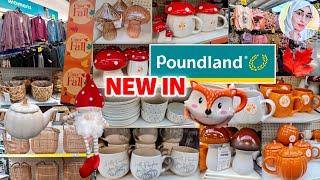  RUN TO POUNDLAND‼️GORGEOUS *NEW* HOMEWARE  Shop With Me  Home, Autumn, Clothing  Bags, Shoes 