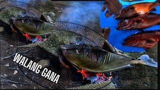 vlog #457 Catch and cook and sell today #spearfishing #i-love-palawan