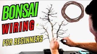 Mastering Bonsai Wiring Made EASY for Beginners!