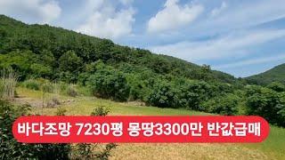 경매직전 7230평 바다조망 완벽한땅     몽땅3300만 반값급매 가격절충 가능