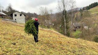 Amazing life in a mountain village