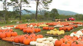 Layman Family Farms Fall Festival kicks off this weekend