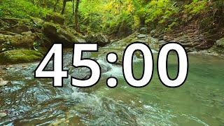 45 Minutes Timer with Guitar Music | Forest | Flowing Rivers