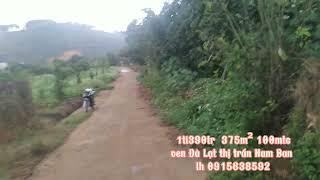 Bán đất 375m² 100mtc tt thị trấn Nam Ban Lâm Hà ven Đà Lạt giá 1ti390tr view rừng thông lh0915638592