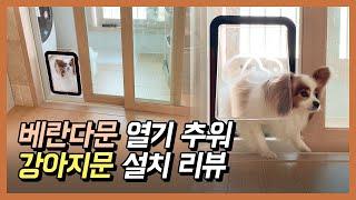 베란다 문 열기 추워서 강아지 전용 문(펫도어) 설치했어요. 빠삐용강아지 소원이.