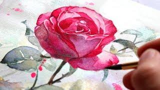 WATERCOLOR TUTORIAL FOR BEGINNERS: How To Paint A Rose In 5 Steps!