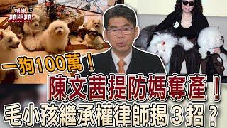 一狗100萬！陳文茜提防媽奪產！毛小孩繼承權律師揭３招？【娛樂頭版頭】