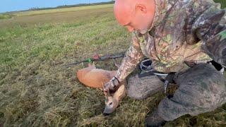 Roebuck with a Longbow, Self filmed - Short film - Tales From the Willows - Bukkejagt 2024