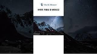 EP.1 더케이야생화가 알려주는 야생화이야기