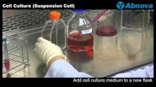 Cell Culture (Suspension Cell)