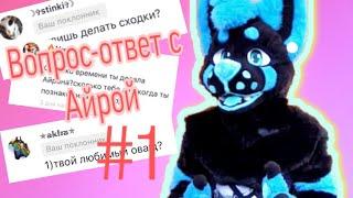 Вопрос-Ответ с Айрой #1 Отвечаю на вопросы котят. РАЗГОВОРНЫЙ РОЛИК