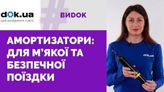 Амортизатори: як підібрати, на що звертати увагу під час покупки