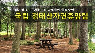 최고의 접근성과 원시림을 가진 강원도 횡성군에 위치한 국립청태산자연휴양림을 소개합니다.