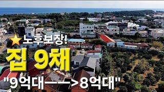 독채원룸 8개+주인세대, 공실율 없는 제주도 수익형 주택!