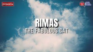 Rimas - Fabulous Cat - Lirik Video