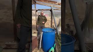 Ч.4. Отапливаемые теплицы в Сибири 🪴 Днём +34С