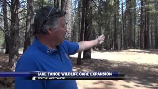 Lake Tahoe Wildlife Care