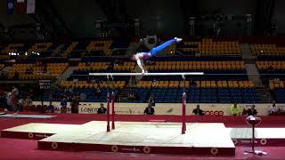 BELYAVSKIY David (RUS) - 2018 Artistic Worlds, Doha (QAT) - Qualifications Parallel Bars