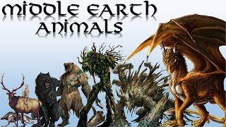 30 Animals In Middle Earth Explained