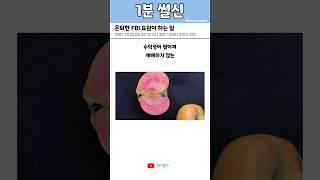 은퇴한 FBI 요원이 하는 일