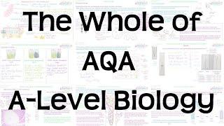 The Whole of AQA A-Level Biology | Exam Revision for Papers 1, 2 and 3