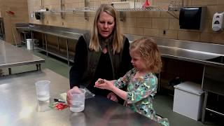 UMN Extension Seed Starting: Rag Doll Method
