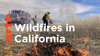 California: Fighting Fire with Fire I ARTE.tv Documentary