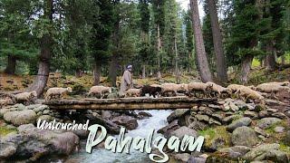 The Valleys Of Pahalgam | Kashmir | India