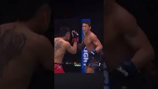 UFC 316 round 1 Ko #like #combatsport #youtube #ufc #mma #youtubeshorts #fb #timmy