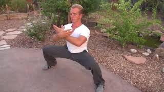 Top 10 Tai Chi Moves for Beginners