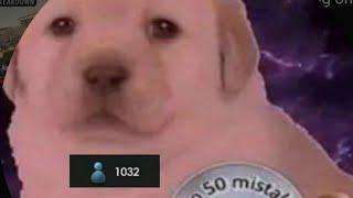 EggPlayer Is Incredible
