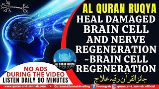 STRONG AL QURAN RUQYAH CURE: HEAL DAMAGED BRAIN CELLS & NERVE REGENERATION | BRAIN CELL REGENERATION