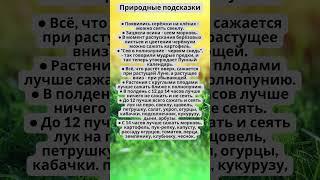 Природные подсказки  #полезнознать #здоровье #огород #урожай