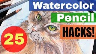 25 Watercolor Pencil Painting Hacks! {cat time-lapse painting}