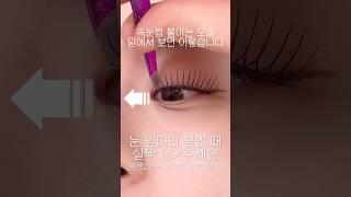 속눈썹 붙이기! 확실하게 보여드림