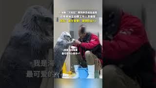 这么可爱的小海獭，谁能拒绝呢？