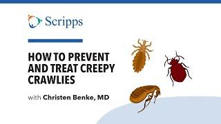 Creepy Crawlies: Lice, Fleas, Ticks and Bedbugs with Dr. Christen Benke | San Diego Health