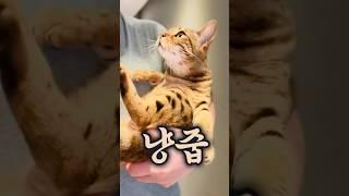 오늘도