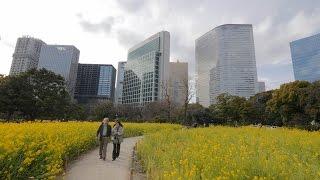 4K・ 【4K】Hamarikyu Gardens videowalk