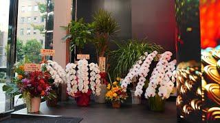 ROE Visual Japan Moves into a New Office