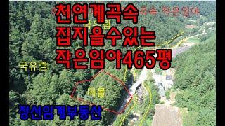 별빛 쏟아지는 숲속 집지을수있는 작은임야(정선임계부동산)