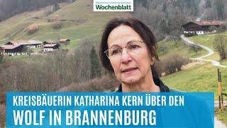 Wolf in Bayern | Sichtung in Brannenburg | Kreisbäuerin Katharina Kern über die Sorgen der Menschen