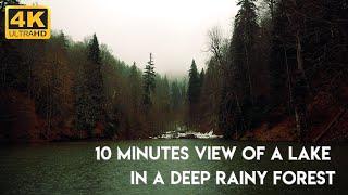 10 MINUTES VIEW OF A LAKE IN DEEP RAINY FOREST / RELAXING MEDITATION VIDEO