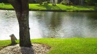 10296 Riverbend BOCA RATON, FL 33498 SOLD Woodstream Lakes at Boca Carolyn Boinis Real Estate agent