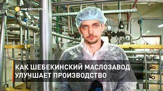 Как Шебекинский маслозавод улучшает производство