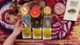 How does your crush currently feel? ️️/Pick a Card Tarot Reading