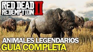 ANIMALES LEGENDARIOS en Red Dead Redemption 2 (LOCALIZACIÓN Y GUIA COMPLETA)